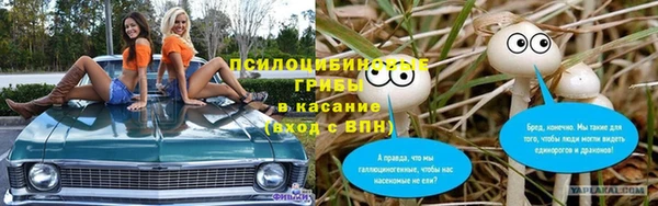 ПСИЛОЦИБИНОВЫЕ ГРИБЫ Алексин