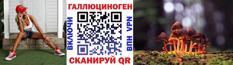 дарнет шоп Сорочинск Галлюциногенные грибы GOLDEN TEACHER
