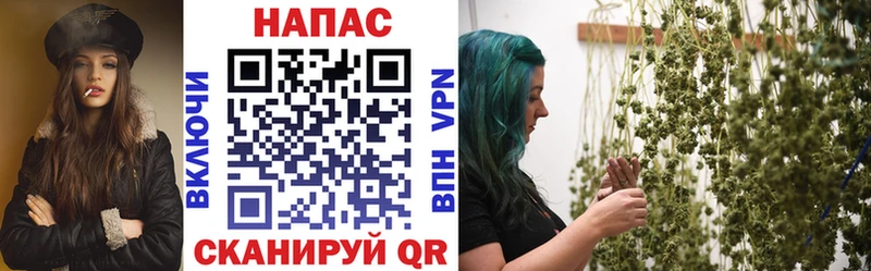 OMG маркетплейс  Сорочинск  Бошки Шишки VHQ 